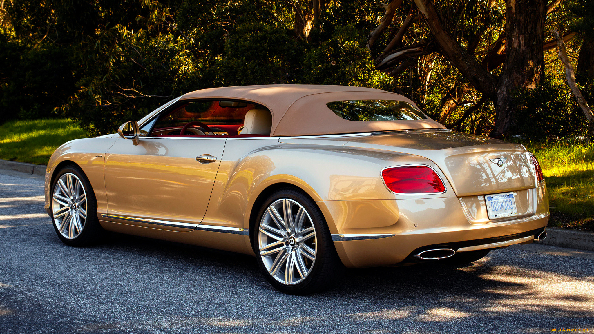 bentley, continental, , , , motors, -